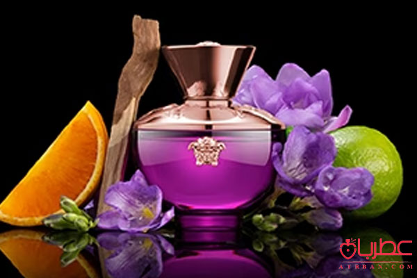 Versace Pour Femme Dylan Purple