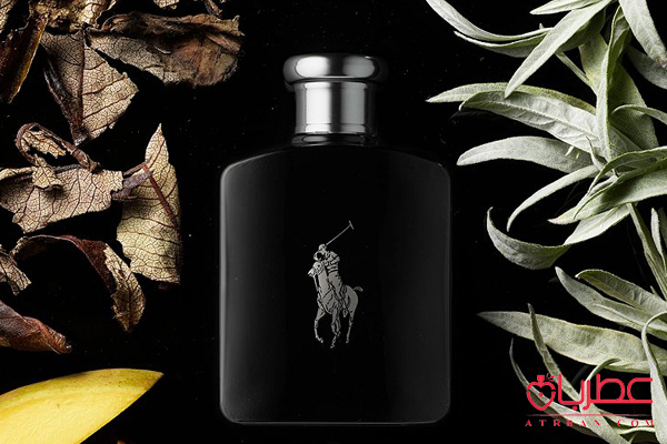 شخصیت شناسی عطر با طبع تلخ
