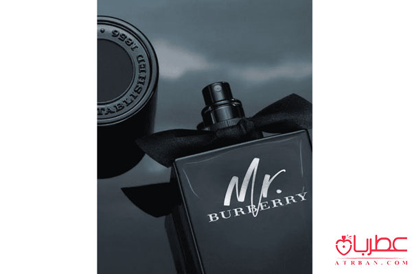عطر ادکلن باربری مستر باربری ادو پرفیوم