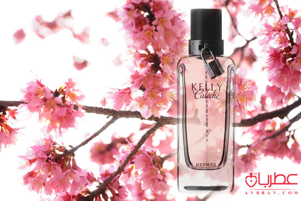 عطر ادکلن هرمس کلی کالش ادو پرفیوم