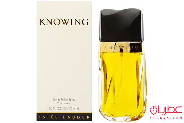 Estee Lauder Knowing