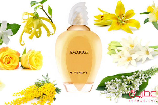 عطر ادکلن جیونچی آماریج
