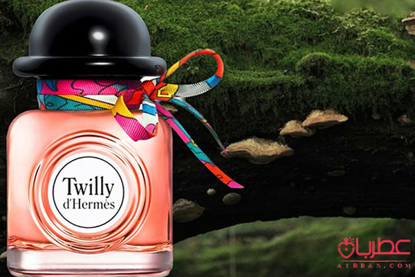 عطر ادکلن هرمس تویلی د هرمس