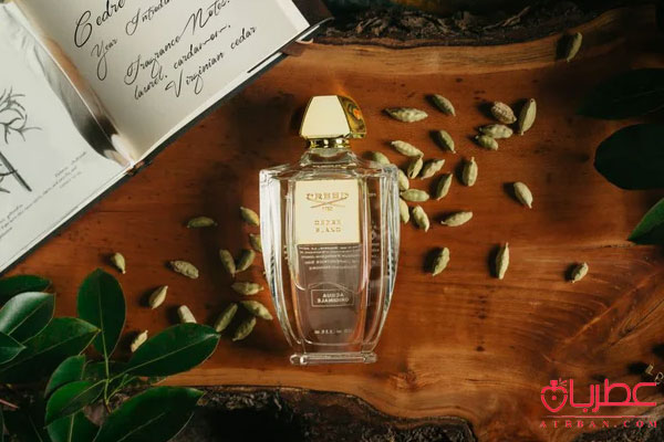 Creed Cedre Blanc