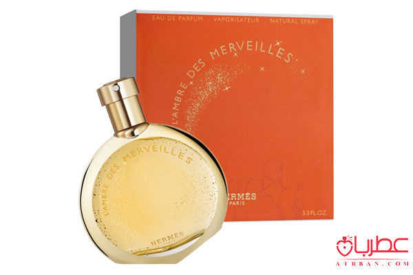عطر ادکلن هرمس آمبر مرولیس