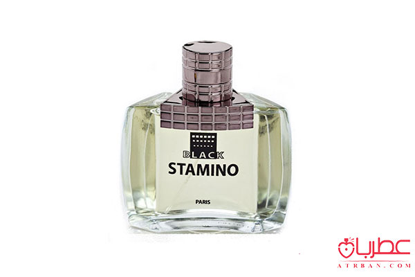 عطر ادکلن پرستیژ پرایم کالکشن استامینو بلک