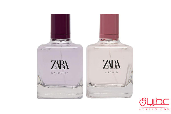 عطر ادکلن زارا گاردنیا و ارکید-دوقلو