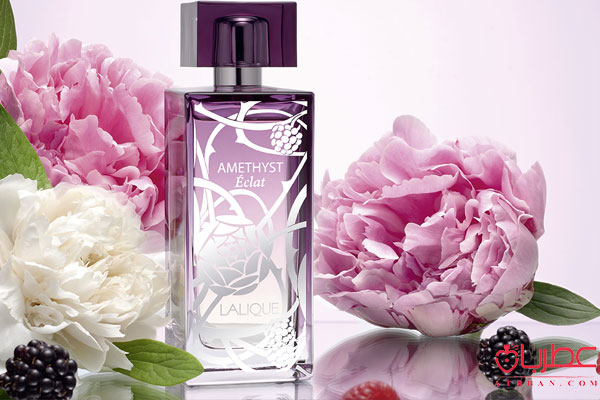 عطر ادکلن لالیک آمیتیس اکلت, ادو پرفیوم آمیتیس اکلت زنانه
