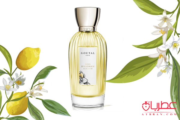 عطر های مرکباتی با رایحه یاس
