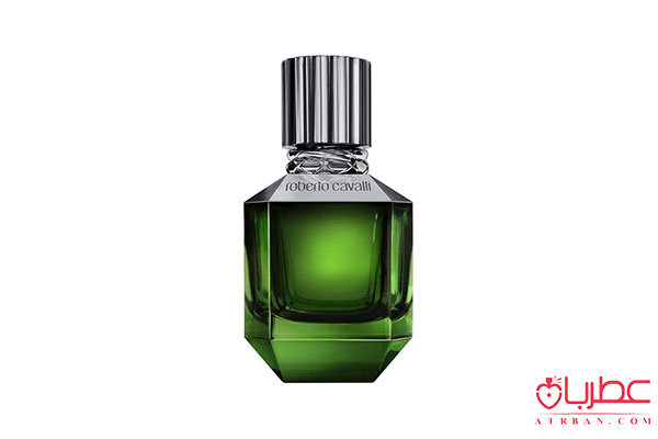 Roberto Cavalli Paradise Found For men
